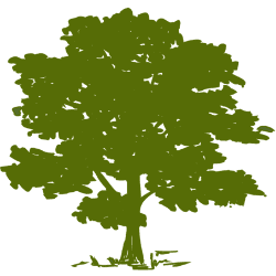 Community Health Systems, Inc.