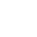 Digital Brands Group, Inc.