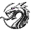 Dragon Crypto Argenti USD