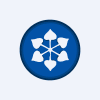 Dcm Shriram Industries Ltd.