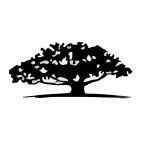 WisdomTree Emerging Markets Quality Dividend Growth Fund