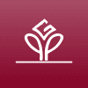 Dharani Finance Limited