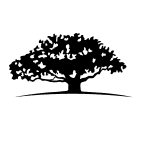WisdomTree International SmallCap Dividend Fund