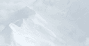 Denali Therapeutics Inc.
