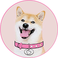 DogeGF USD