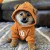 Dog (Runes) USD