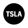 Tesla Tokenized Stock Defichain USD