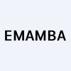 eMamba International Corporation