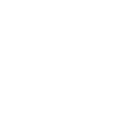 Ergo USD
