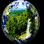 Erth Point USD