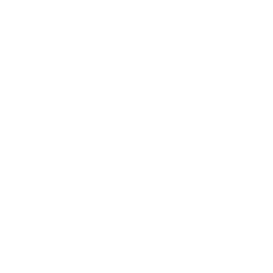 Shapeshift FOX Token USD