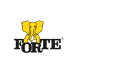 Grupa Forte Spolka S.A.