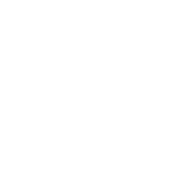 Gnosis USD
