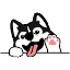 Husky USD