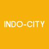 Indo-City Infotech Limited