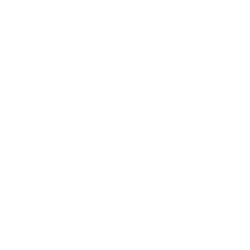 IOST USD