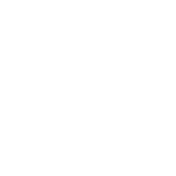 Samsara Inc.