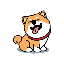 Kuma Inu USD