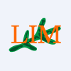 Labrador Iron Mines Holdings Limited