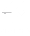 Leader Capital Holdings Corp.
