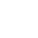 Lucid Group, Inc.