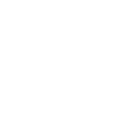 Lisk USD