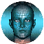 Metaverse Face USD