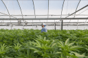 Millennium Sustainable Ventures Corp.
