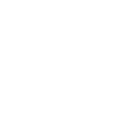 Mirror Protocol USD