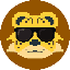 Meerkat Shares USD