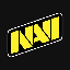 Natus Vincere Fan Token USD