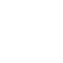 NEAR Protocol USD