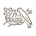 Nestlé India Limited