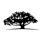 WisdomTree U.S. Efficient Core Fund