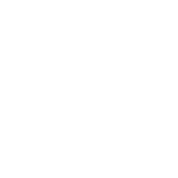 Natuzzi S.p.A.