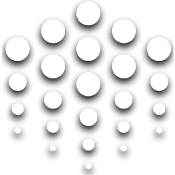 Ocean Protocol USD