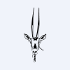 Oryx International Growth Fund Limited