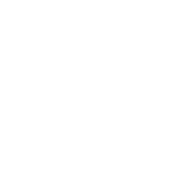 OMG Network USD