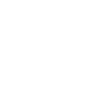 Omni USD
