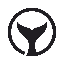 OrcaX USD