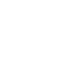 ChainX USD