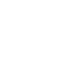 Palantir Technologies Inc.