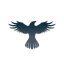 Raven Protocol USD
