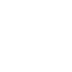 Royal Caribbean Cruises Ltd.