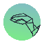 Raptor Finance USD