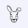 Rooshine, Inc.