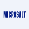 MicroSalt Plc