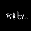 Salty Coin USD