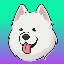 Samoyedcoin USD