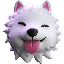Samusky USD